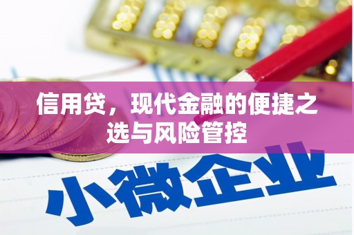 科尔沁左翼中旗信用贷，现代金融的便捷之选与风险管控