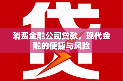 科尔沁左翼中旗消费金融公司贷款，现代金融的便捷与风险