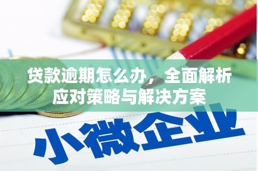 科尔沁左翼中旗贷款逾期怎么办，全面解析应对策略与解决方案